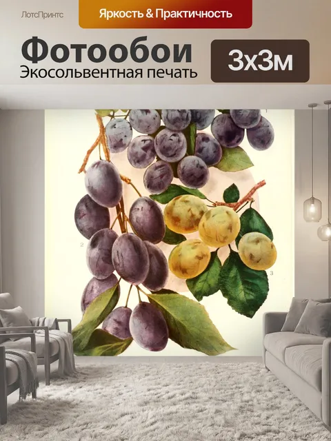 Фотообои Винтажные художественные фрукты сливы