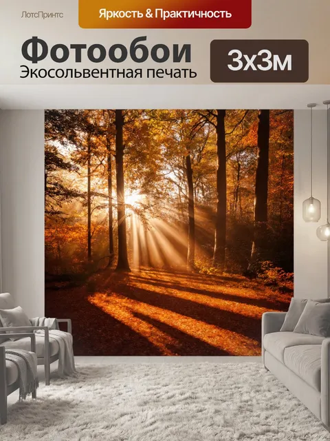 Фотообои коричневый лес в осенний день, где солнечные лучи проникают сквозь листву, создавая игру теней на земле