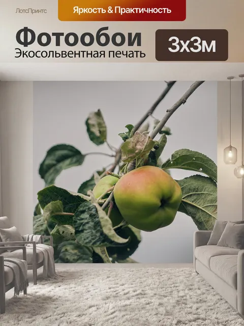 Фотообои Apple на ветке