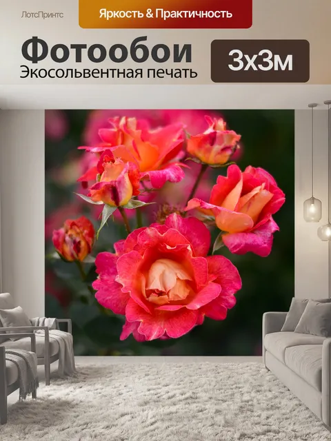 Фотообои Чайные розы