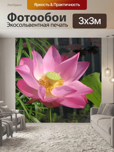 Фотообои Водяная лилия