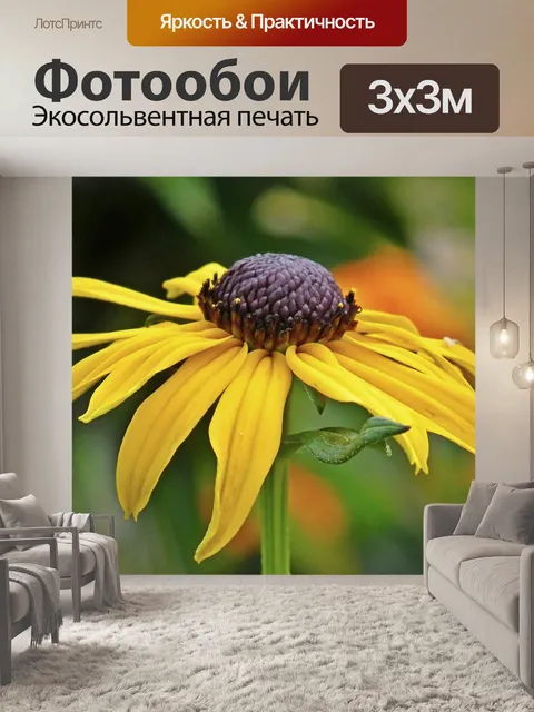 Фотообои Рудбекия золотой
