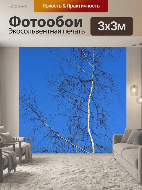 Фотообои Береза