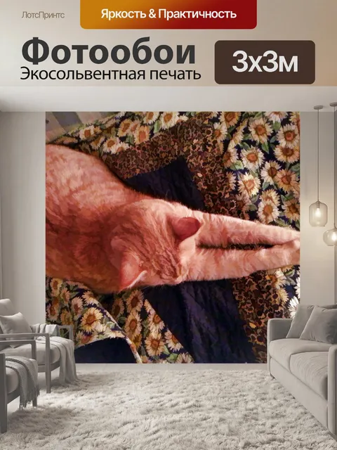 Фотообои Оранжевый табби