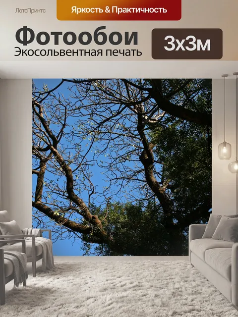 Фотообои дерево с некоторыми плотными и ранними л
