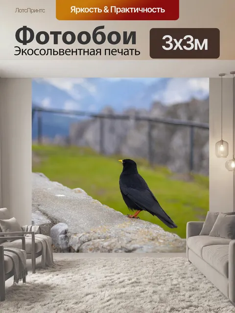 Фотообои Черная птица