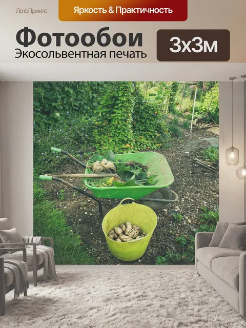 Фотообои тачка в саду