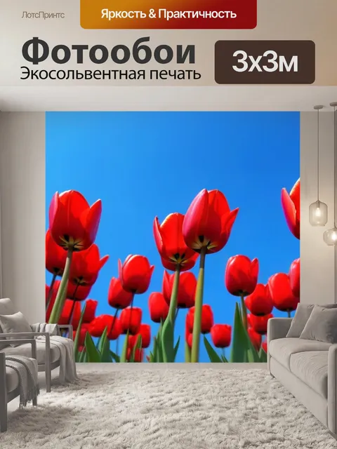 Фотообои яркие красные тюльпаны на фоне синего неба