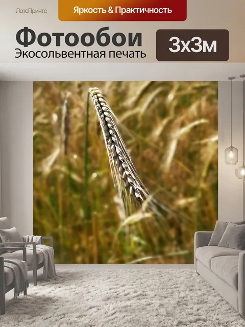 Фотообои Луг