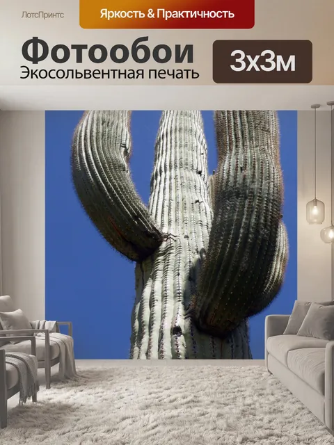 Фотообои Высокий Сагуаро Кактус