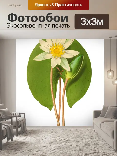 Фотообои Цветочный цветок старинное искусство