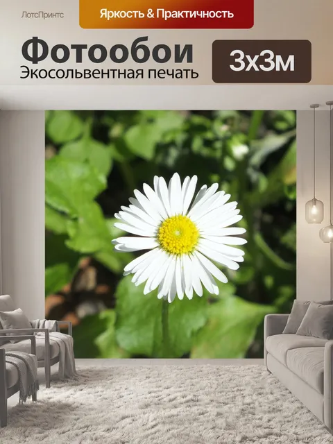 Фотообои Уайлдфлауэр