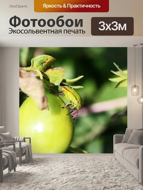 Фотообои розовый и зеленый щит жук на помидоре