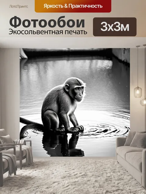 Фотообои обезьяна капуцин, сидящая на берегу реки, изучающая свои отражения в воде