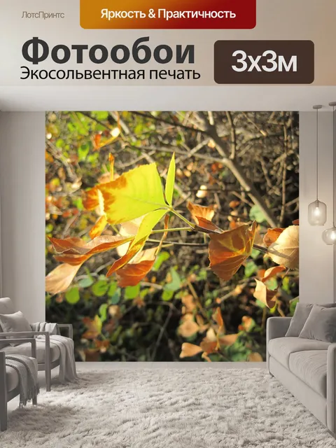 Фотообои желтые листья и ржавчины