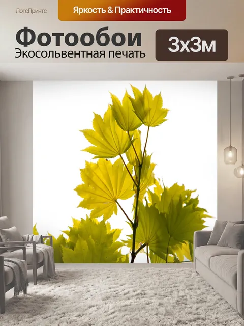 Фотообои Зеленые листья