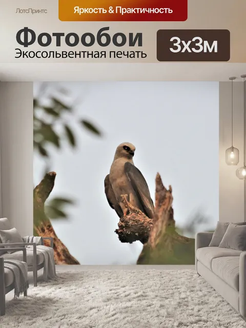 Фотообои Воздушный змей Миссисипи на ветке