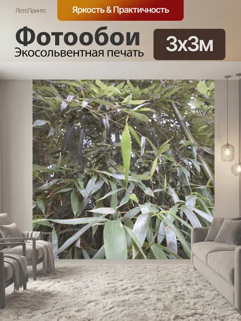 Фотообои Бамбук, зеленая листва, растительность