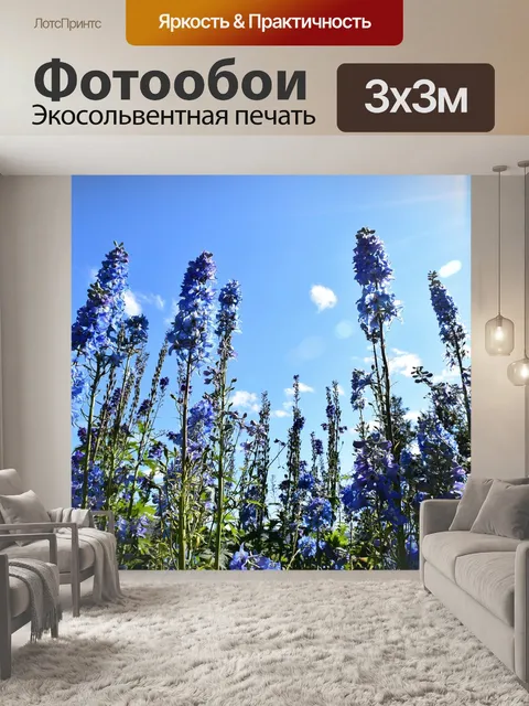 Фотообои Небо