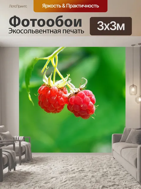 Фотообои Дикая малина