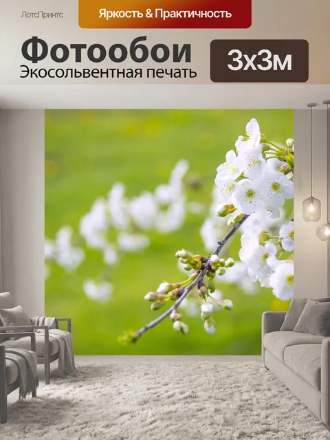 Фотообои Чудесная цветущая вишня