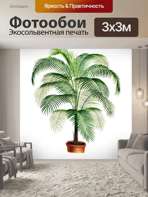 Фотообои Пальмовое растение винтаж прозрачный