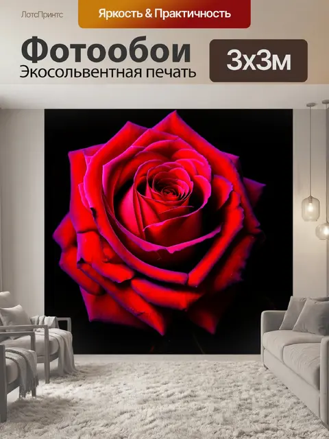 Фотообои розы в стиле нуар, где свет и тень взаимодействуют, создавая интригующие рисунки