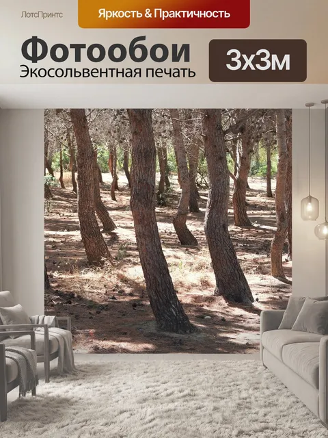 Фотообои Лес
