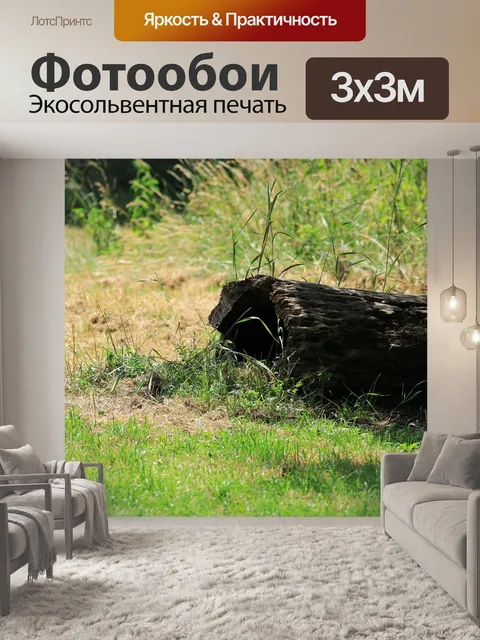 Фотообои Ствол дерева
