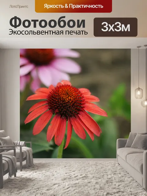Фотообои Оранжевый конусообразный