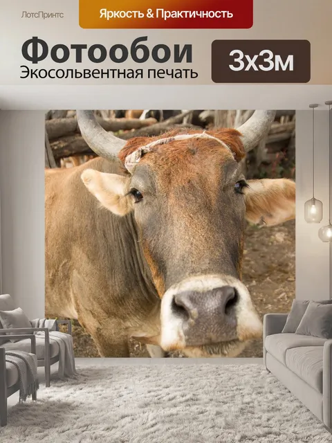 Фотообои Корова