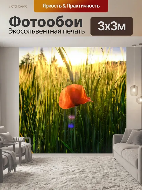 Фотообои Солнечный свет