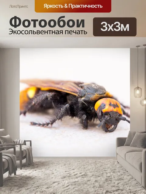 Фотообои Мамонтовая оса