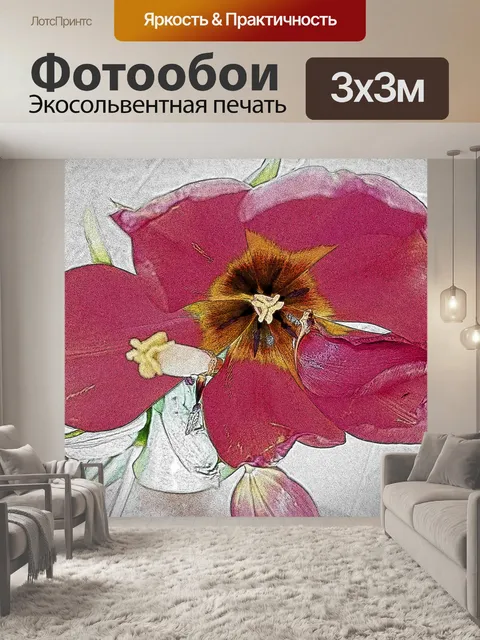 Фотообои Розовый тюльпан