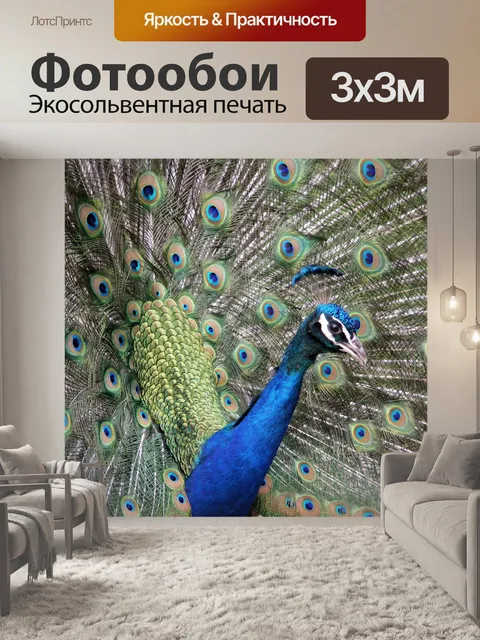 Фотообои Павлин