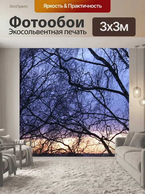 Фотообои Вечер