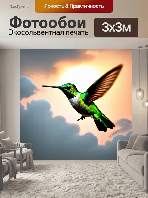 Фотообои изображение зеленого колибри на фоне вечернего света через густые облака
