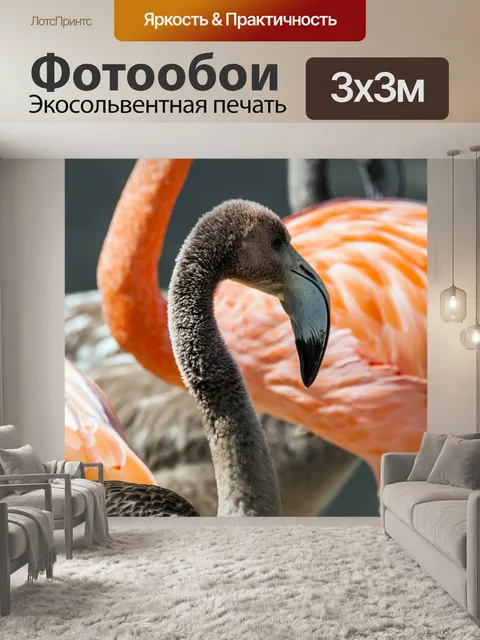 Фотообои Молодой фламинго