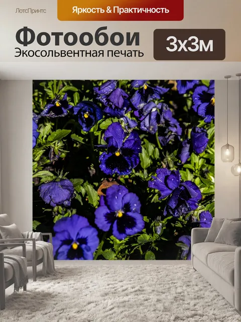 Фотообои Фиолетовые анютины глазки от дождя