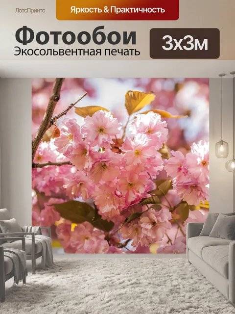 Фотообои Сакура
