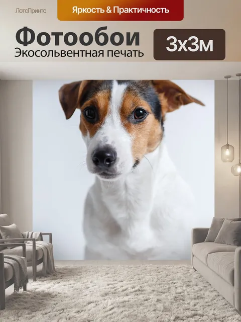 Фотообои Собака