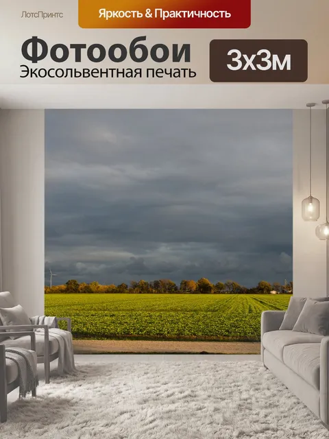 Фотообои Буря