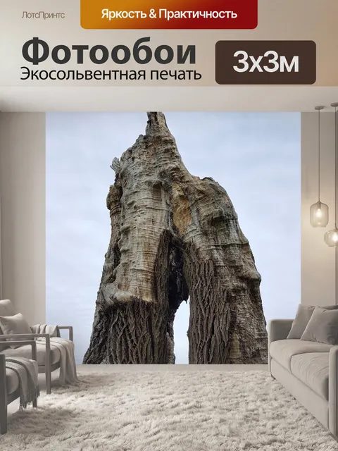 Фотообои Арка