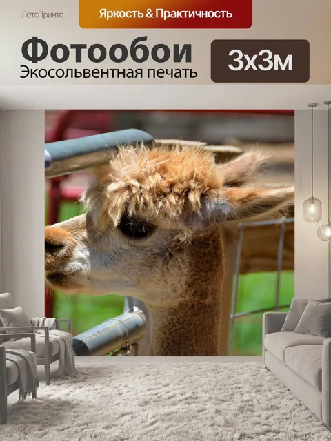 Фотообои Симпатичные Альпака