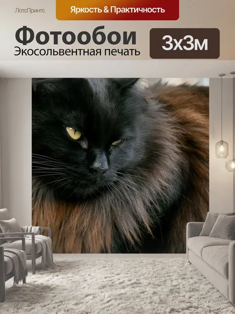 Фотообои Кошка