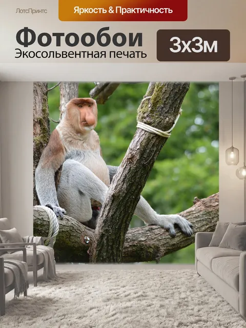 Фотообои Обезьяна хоботок 3