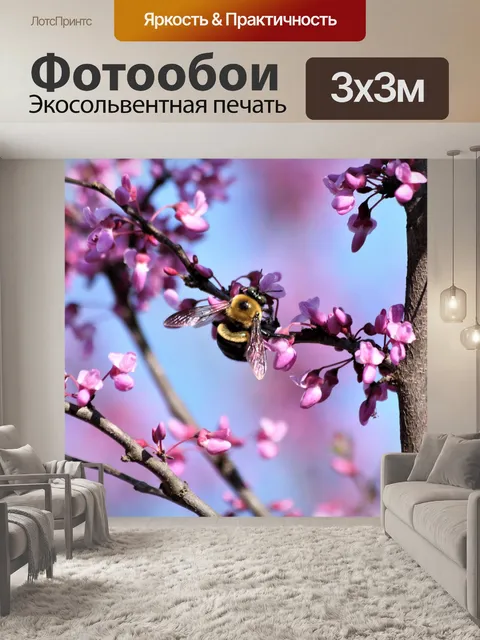 Фотообои Пчела на цветах Редбад