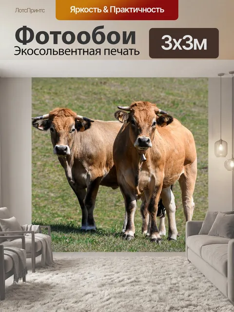 Фотообои Корова