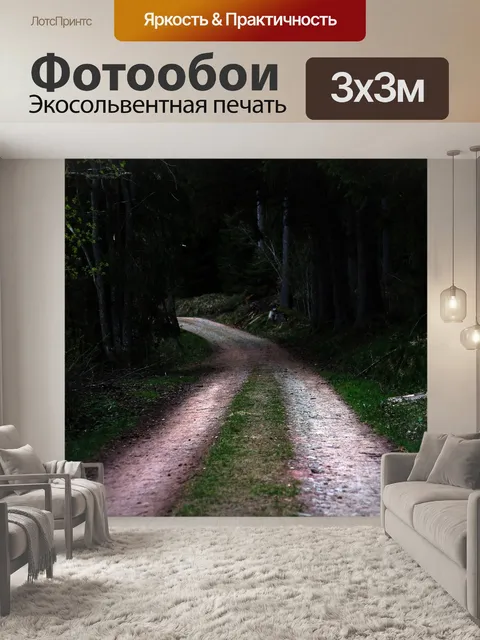 Фотообои Road