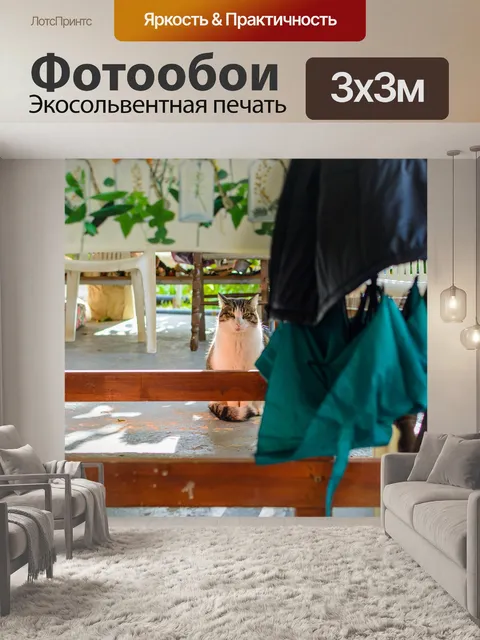 Фотообои Кошка